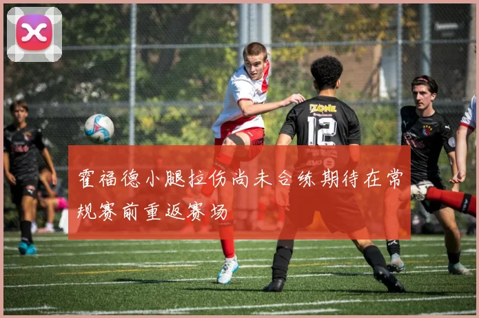 霍福德小腿拉伤尚未合练期待在常规赛前重返赛场