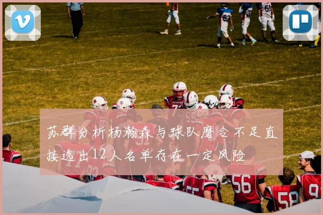 苏群分析杨瀚森与球队磨合不足直接选出12人名单存在一定风险